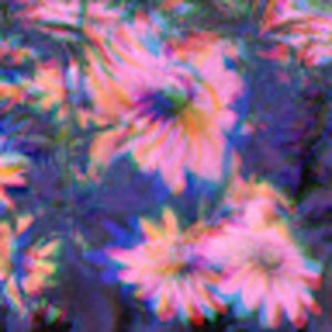 Meet your Posher, Jay